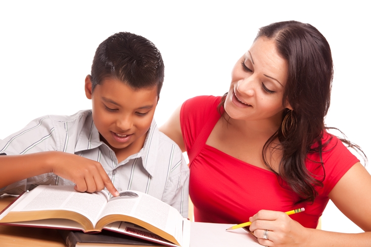 Fostering & Fostering for the Future porposals