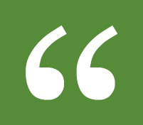 quotation marks